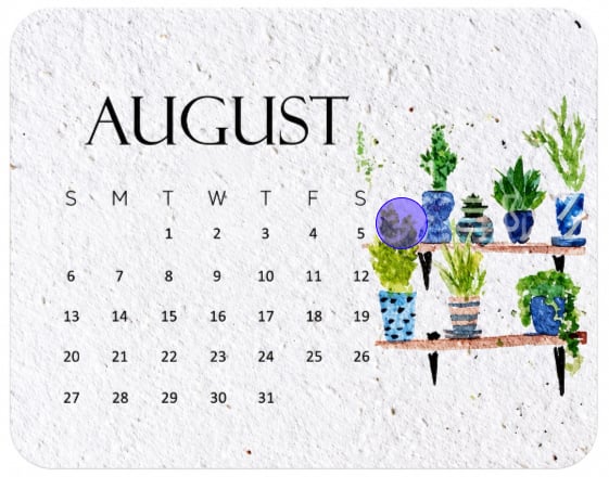 🌱 2027 Plantable Calendar – Use It. Plant It. Watch It Grow.